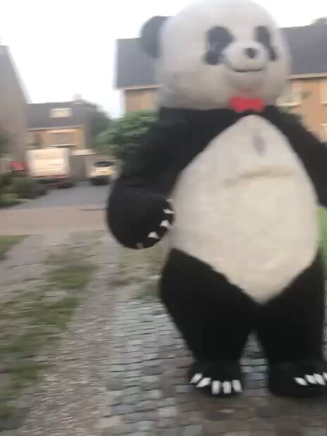 Panda mascotte loopt door een woonstraat op weg naar een feestlocatie